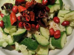 胡麻油拍黄瓜-佬肥猫(国华广场店)
