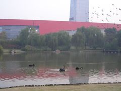 -中国浦东干部学院