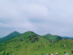 -大姆山草场