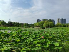 -太阳宫公园