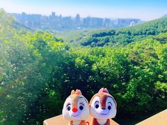 -童牛岭风景区