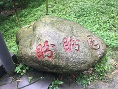 -都江堰中华大熊猫苑