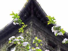 -山东大学(趵突泉校区)