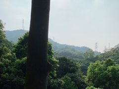 -阳台山森林公园