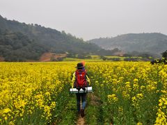 -新安江山水画廊风景区