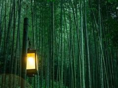-云栖竹径