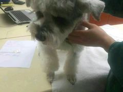 -惠康宠物医院(华能路店)