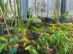 -国家植物园南园