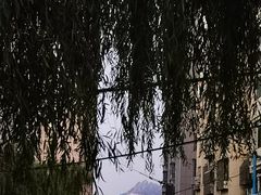 -吉云馄饨(桑梓路店)