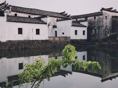 -东梓关景区村庄