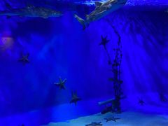 -太平洋海底世界