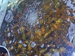 -聚盛源蒸汽海鲜火锅烤肉自助(巨川金海岸购物广场店)