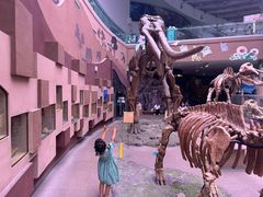 -陕西自然博物馆