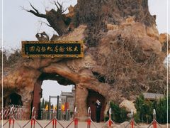 -大槐树寻根祭祖园