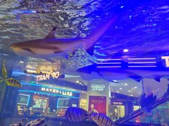 -凯德广场(学府店)