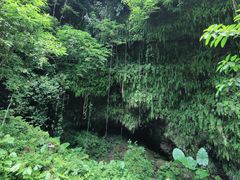 -海口火山口国家地质公园
