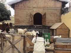 -HERRE·FARM 赫尔露营农场·团建聚会包场