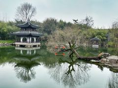 -水绘园