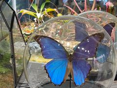 -义乌之心城市生活广场