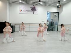 -星光舞蹈艺术中心•芭蕾舞•中国舞(太阳宫校区)