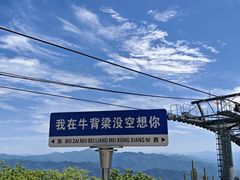 -牛背梁国家森林公园