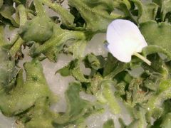 -106餐厅(山水文园店)
