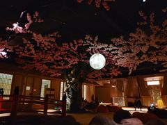 -蓝鲸湾汤泉(包河店)