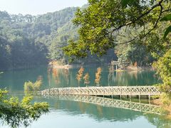 -广州市流溪河国家森林公园