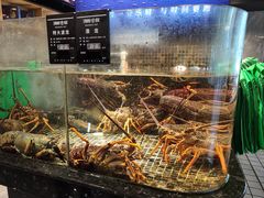 -海鲜e族(马王堆店)