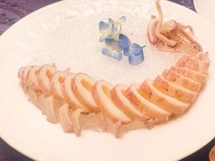冻原条鲜鱿鱼-惠食佳·朱雀(东方商厦店)