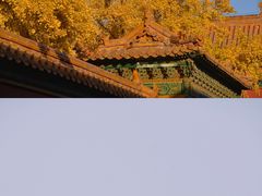 -故宫博物院(故宫)
