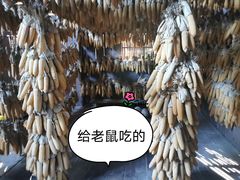 -西双版纳基诺山寨
