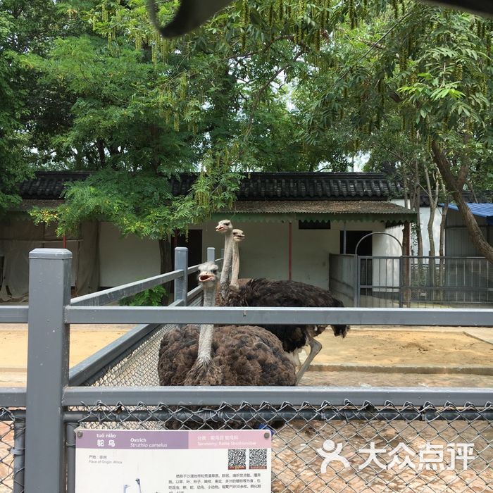 徐州动物园