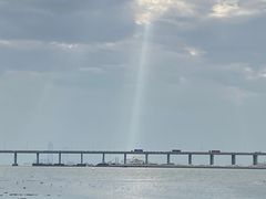 -宝安西湾红树林湿地公园