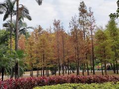 -晓港公园