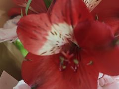 -何兮花店·气球派对鲜花店(马桥银春路万科城店)