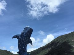 -珠海长隆海洋王国
