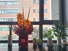 -双季花艺园艺市场(浦东店)