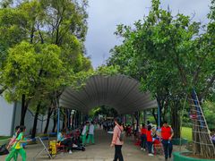 -广东花都香草世界旅游度假区
