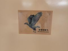 -辽宁古生物博物馆