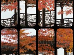 -莫愁湖公园