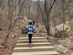 -大岭沟猕猴桃谷风景区