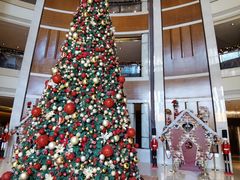 -深圳星河丽思卡尔顿酒店