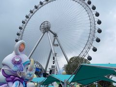 -海合安武汉极地海洋公园