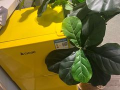 -鹿逸自助酒店(东大路地铁站店)