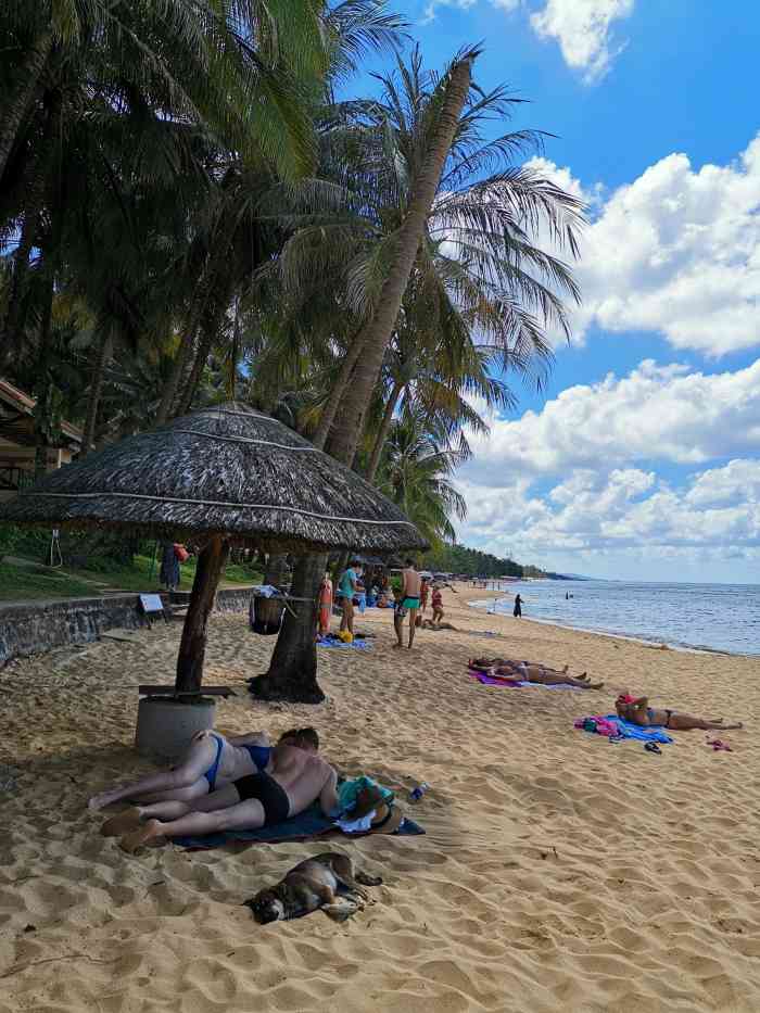 越南长滩-"沙滩,[调皮]美女,[调皮]比基尼,[调."-大众点评移动版