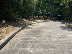 -圣淘沙天际线斜坡滑车