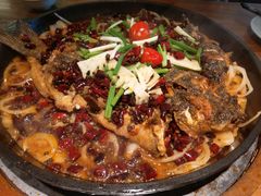 -老板恋上鱼(环山路店)