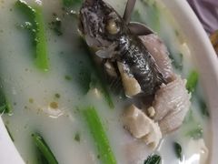 -蛇口康乐快餐鱼仔档(翠苑小区店)