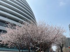 -布歌东京(合生汇店)